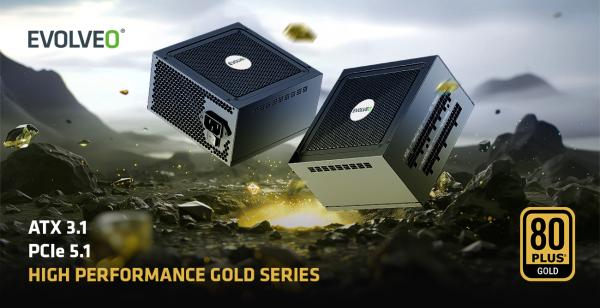 EVOLVEO G850, 850W, ATX 3.1, 14cm, aPFC, 80+GOLD, 3YRW 