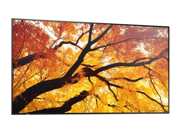 75" LED SHARP M752, 3840x2160, IPS, 24/ 7, 500cd 