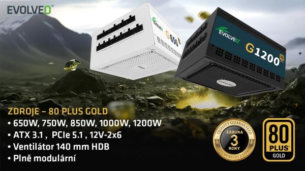 EVOLVEO G850, 850W, ATX 3.1, 14cm, aPFC, 80+GOLD, 3YRW 