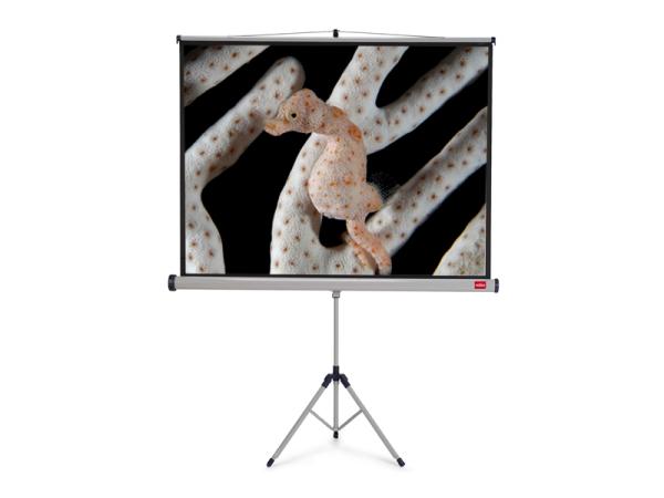 NOBO Tripod plátno š175 x v132 -matný biely, 4:3