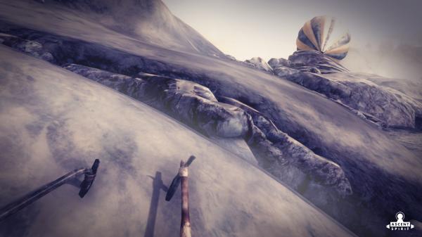 ESD Ascent Spirit 