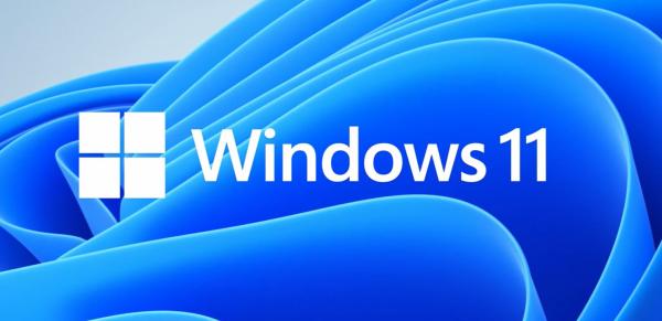 MS Windows 11 Home 64-Bit Hungarian 1pk OEM DVD 