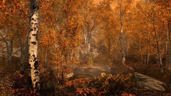 ESD The Elder Scrolls V Skyrim Special Edition 