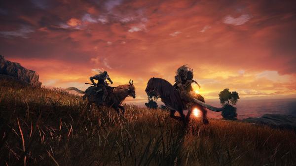 ESD Elden Ring Deluxe Edition 