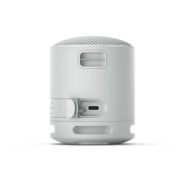Sony SRS-XB100/ Mono/ Sivá 