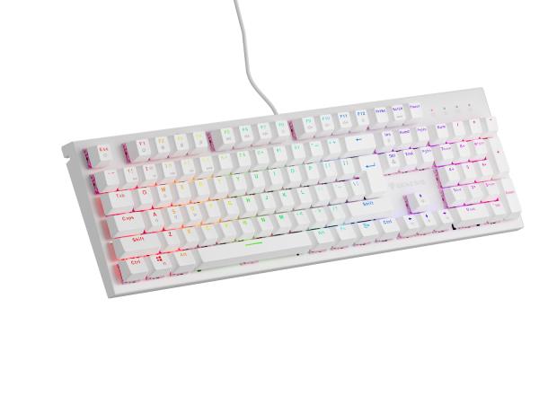Genesis herná mechanická klávesnica THOR 303/ RGB/ Outemu Peach Silent/ Drôtová USB/ US layout/ Biela 