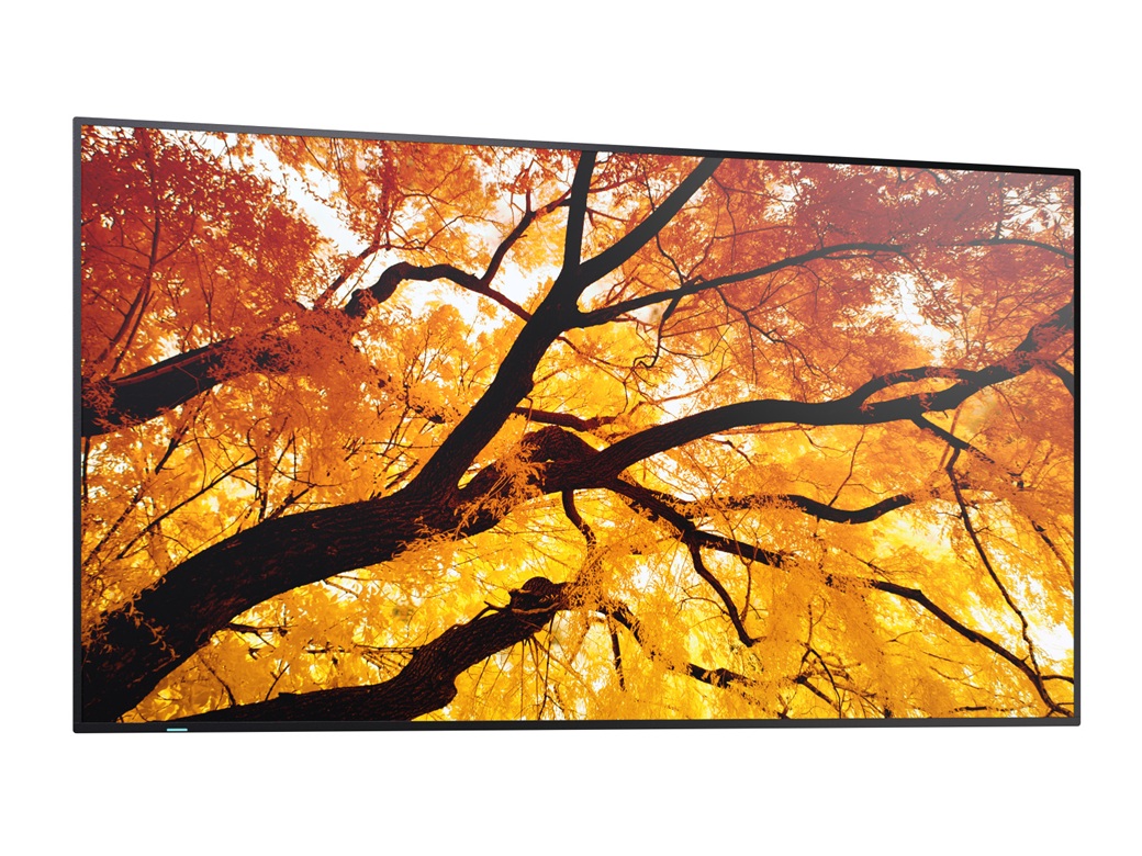 75" LED SHARP M752, 3840x2160, IPS, 24/ 7, 500cd 