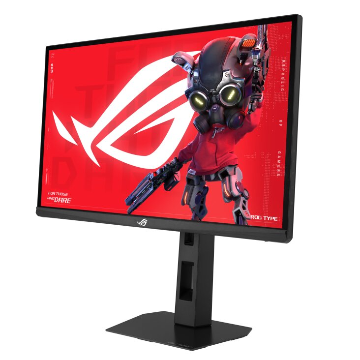 24" LCD ASUS XG248QSG 