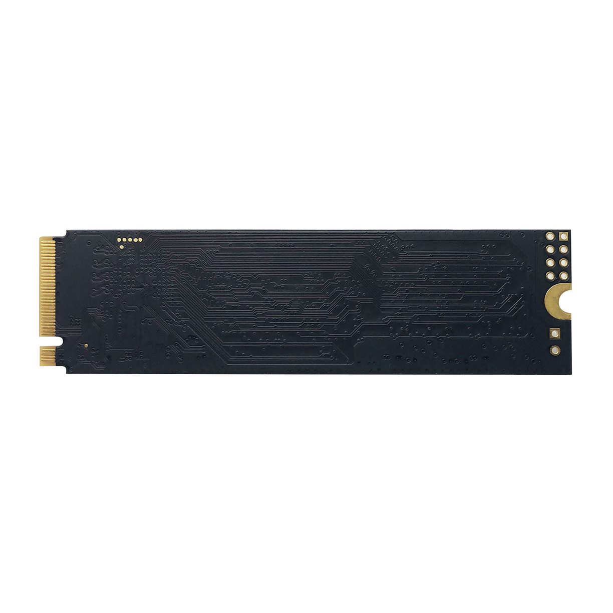 PATRIOT P310/ 480GB/ SSD/ M.2 NVMe/ 5R 