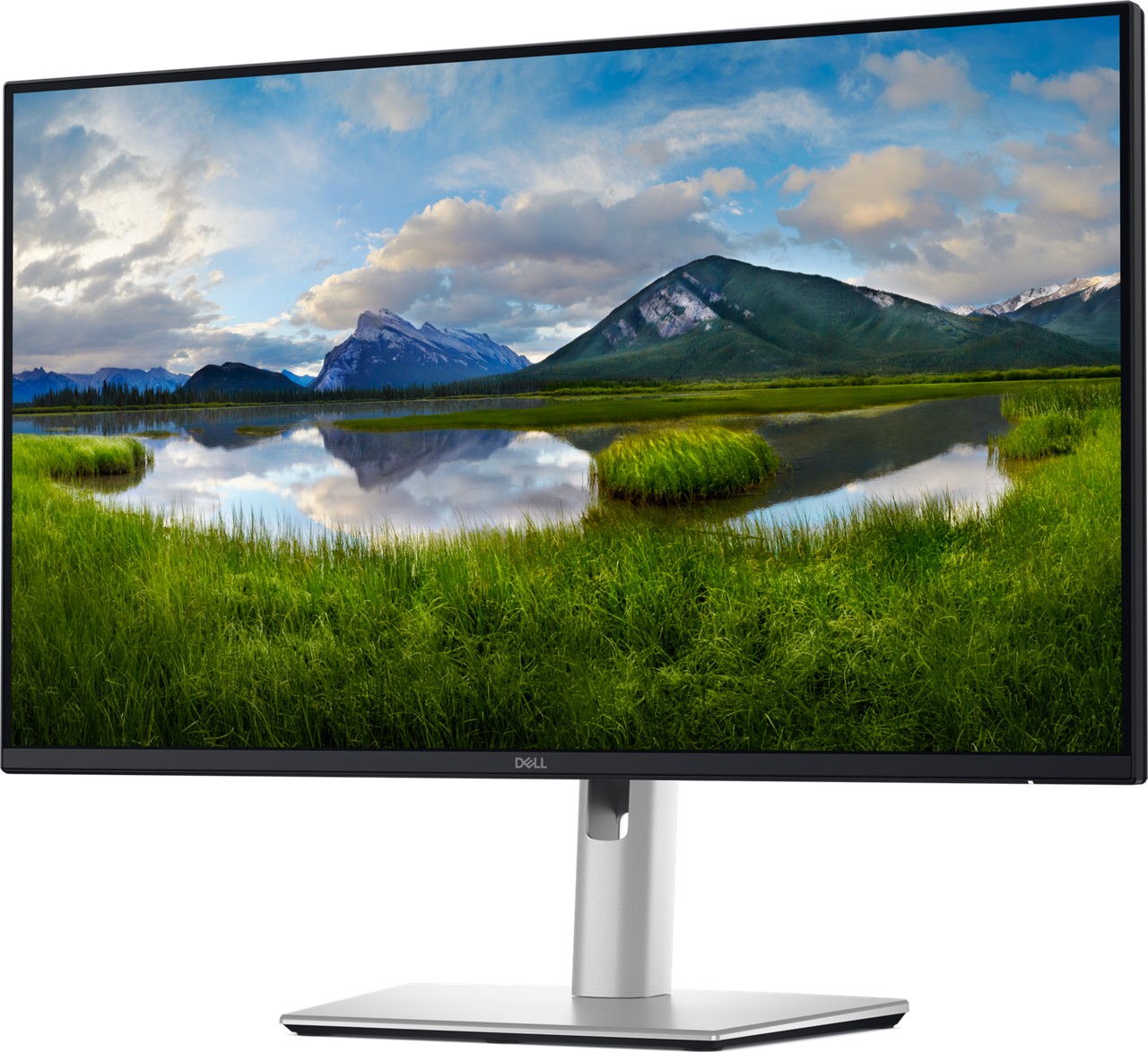 Dell Pro Plus/ P2425D/ 23, 8"/ IPS/ QHD/ 100Hz/ 5ms/ Blck-Slvr/ 3R 