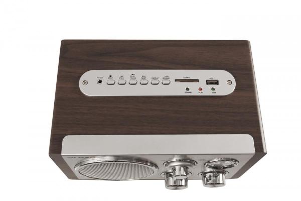Orava RR-29 A rádio,  1 x 3, 5W,  AM /  FM rádio,  USB,  AUX vstup,  SD karta,  hnědá /  stříbrná2