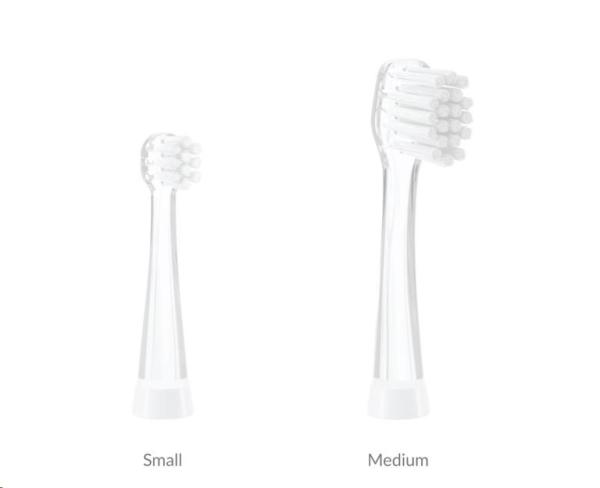 TrueLife SonicBrush Baby G Heads Medium1