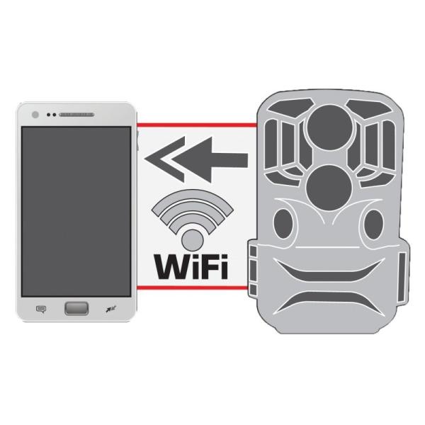 Braun ScoutingCam 800 WiFi fotopast0
