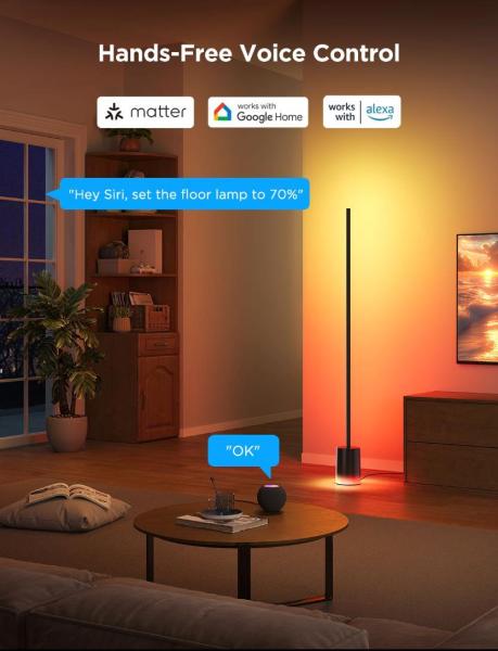 Govee RGBICWW Floor Lamp 2 RGBICWW Matter + ovladač2