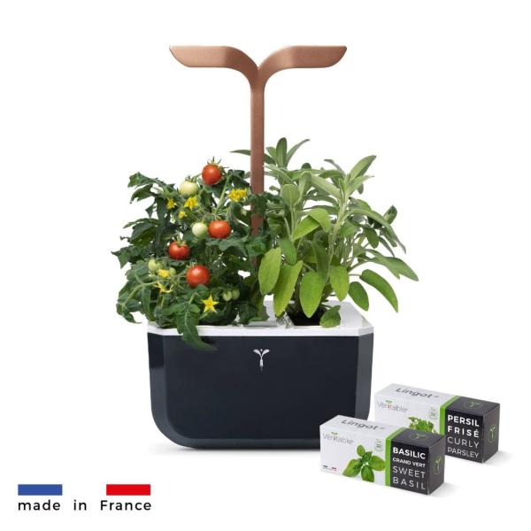 Véritable Exky SMART - Automatický květináč s regulací osvětlení,  černá měděná + 2 bylinkové náplně