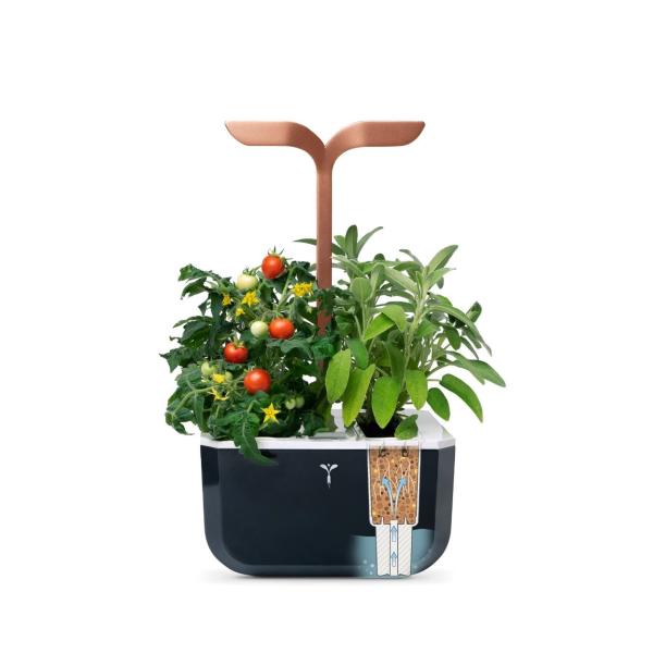 Véritable Exky SMART - Automatický květináč s regulací osvětlení,  černá měděná + 2 bylinkové náplně2