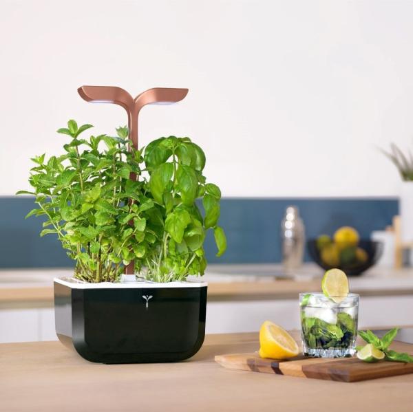 Véritable Exky SMART - Automatický květináč s regulací osvětlení,  černá měděná + 2 bylinkové náplně5
