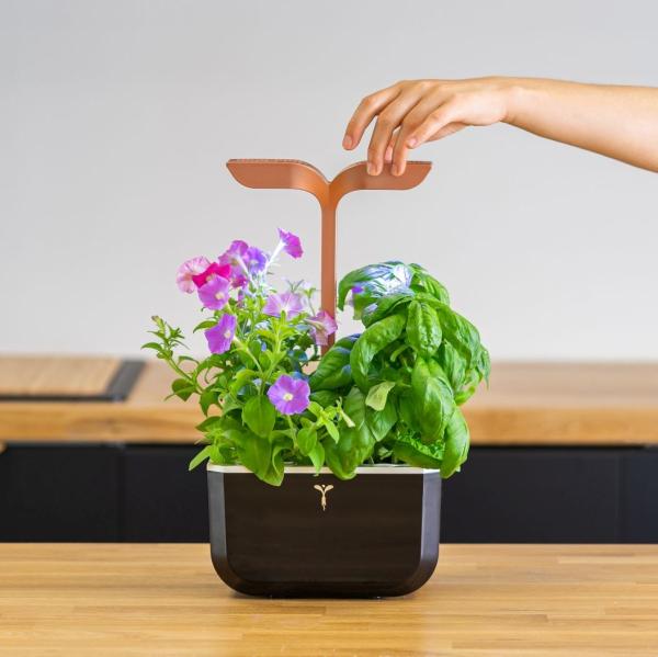 Véritable Exky SMART - Automatický květináč s regulací osvětlení,  černá měděná + 2 bylinkové náplně3