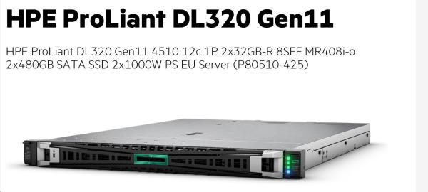 HPE DL320 G11 4510, 64 GB, 2 x 480 GB SDD