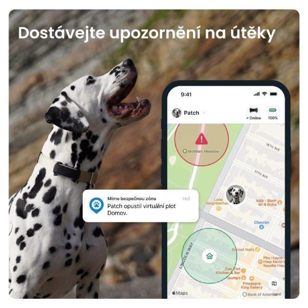 Tractive DOG 6 – GPS lokátor pro psy a monitor zdraví,  černý7