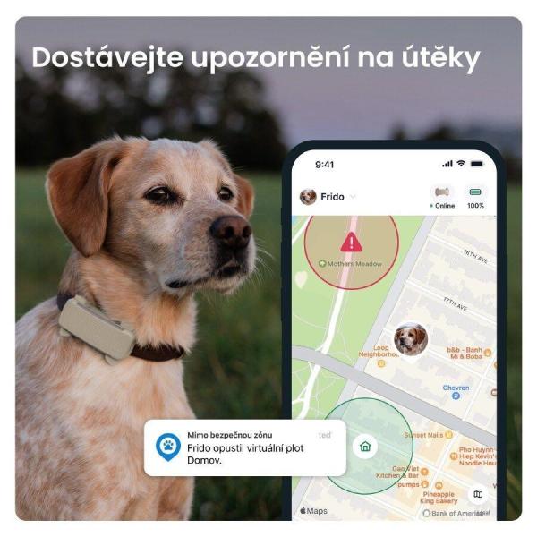 Tractive DOG 6 – GPS lokátor pro psy a monitor zdraví,  hnědý3