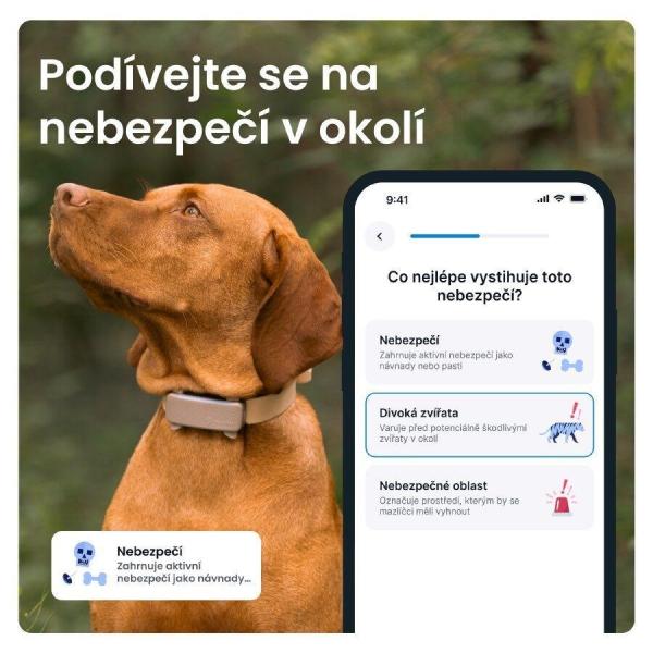 Tractive DOG 6 – GPS lokátor pro psy a monitor zdraví,  hnědý4