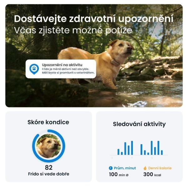 Tractive DOG 6 – GPS lokátor pro psy a monitor zdraví,  hnědý5