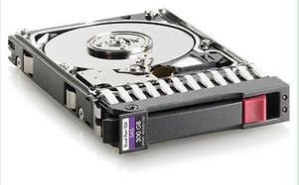 HP HDD SAS DP 300G 10k 2.5 HotPlug 6G ENT SFF1