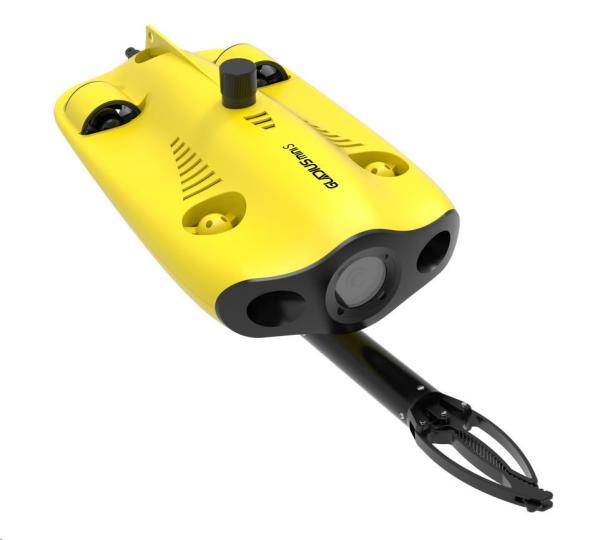 Chasing Gladius Mini S 100m7