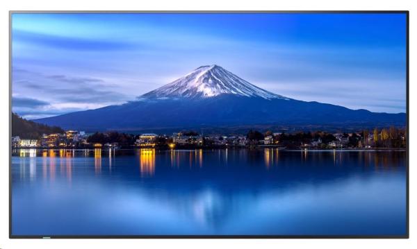 43" LED SHARP P436, 3840x2160, 24/ 7, 700cd