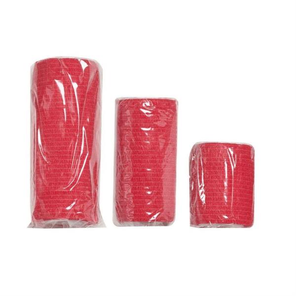Lékárnička Survival First Aid Kit Pet (CZ)7