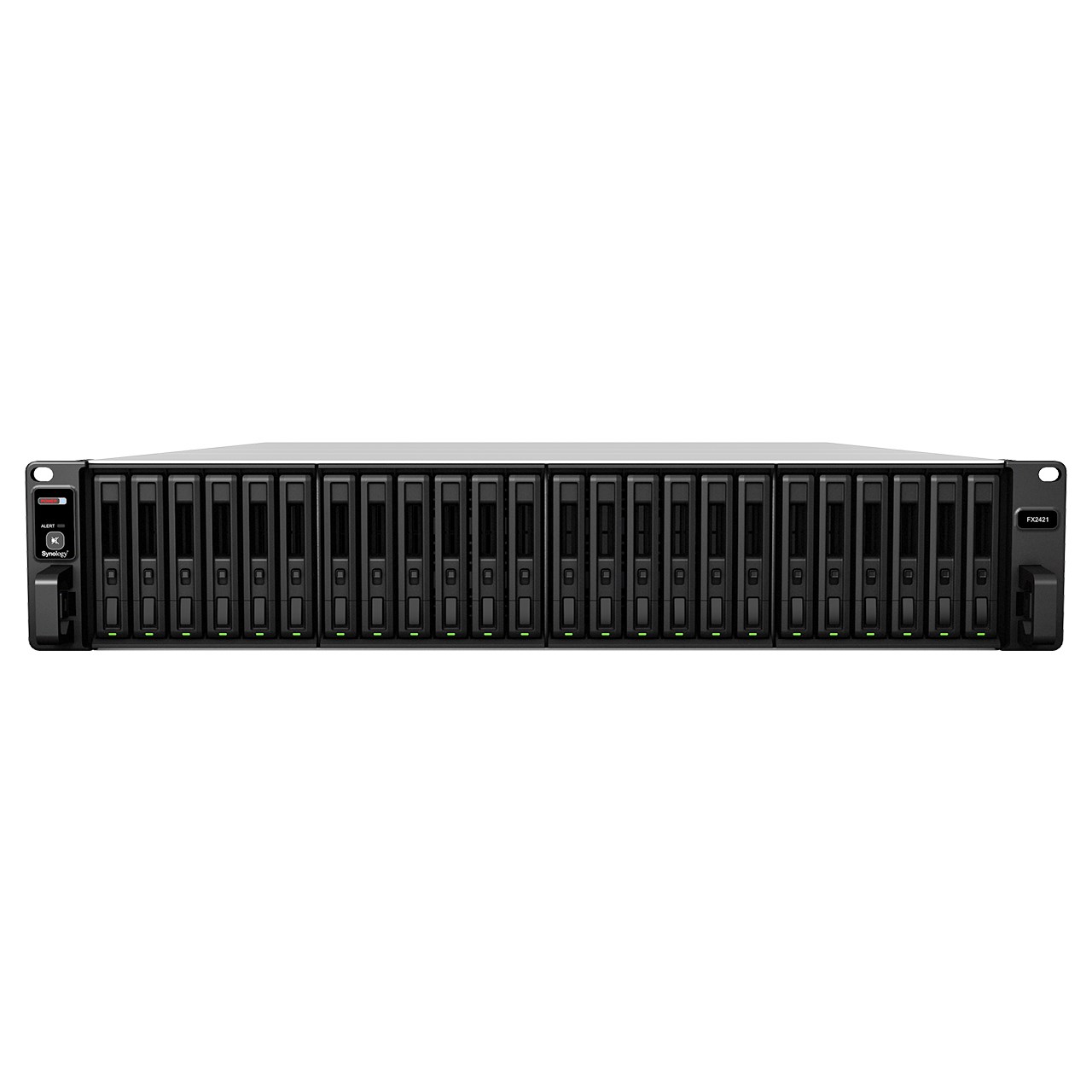 Synology FX2421