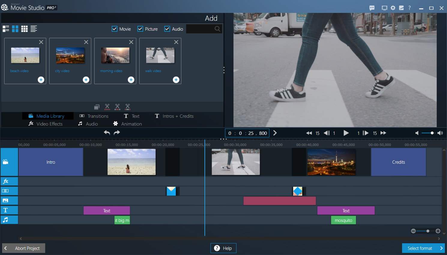 Ashampoo Movie Studio Pro 32 