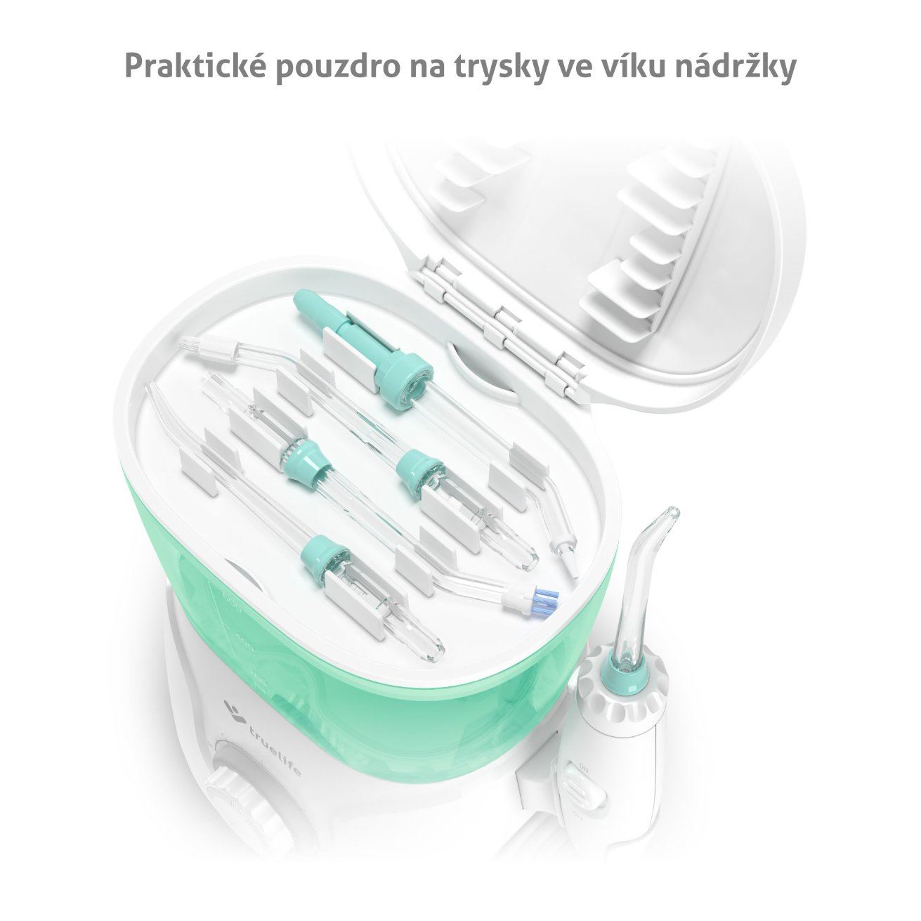 TrueLife AquaFloss Station S6001 