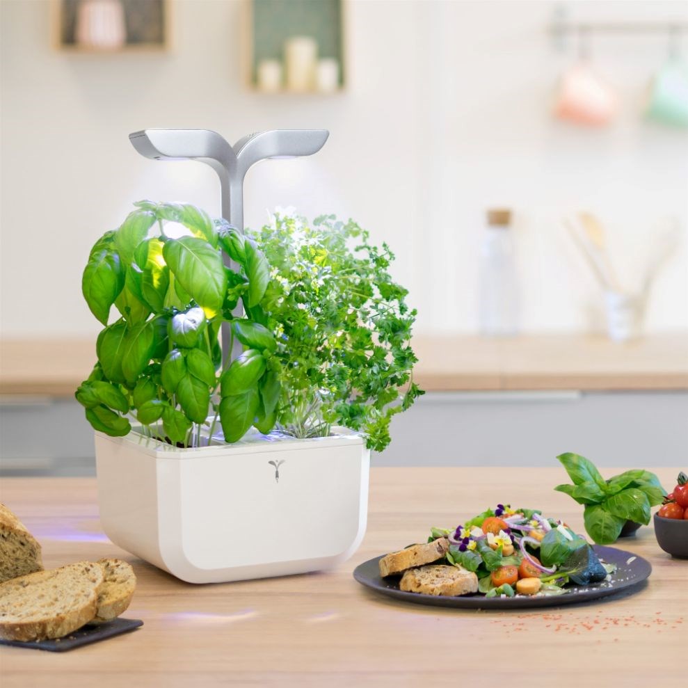 Véritable Exky SMART  - Automatický květináč s regulací osvětlení,  bílá + 2 bylinkové náplně6 