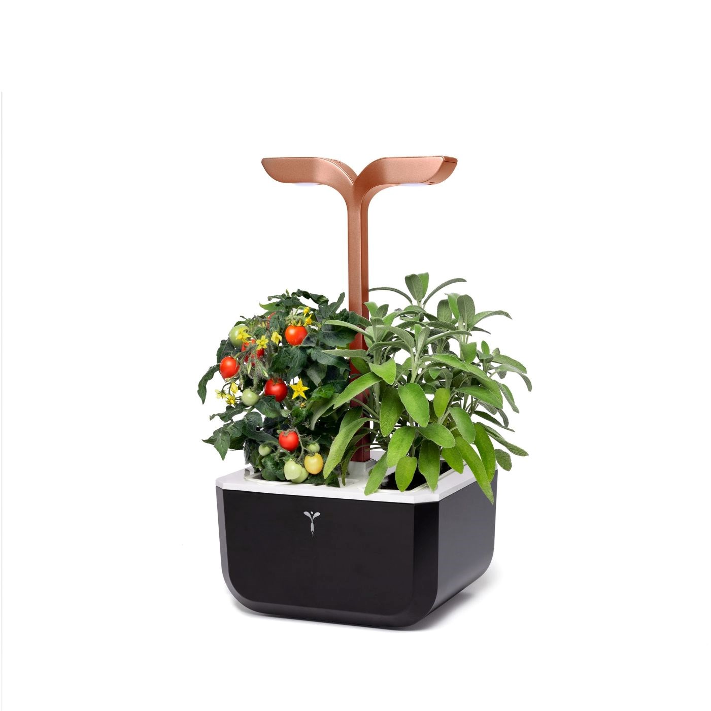 Véritable Exky SMART - Automatický květináč s regulací osvětlení,  černá měděná + 2 bylinkové náplně4 