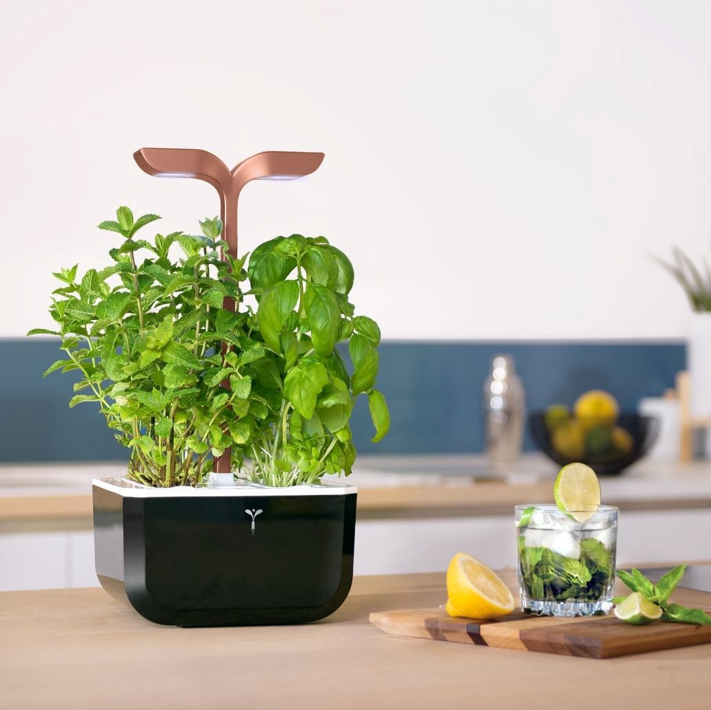 Véritable Exky SMART - Automatický květináč s regulací osvětlení,  černá měděná + 2 bylinkové náplně5 