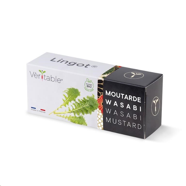 Véritable Lingot Wasabi hořčice listová - BIO0 