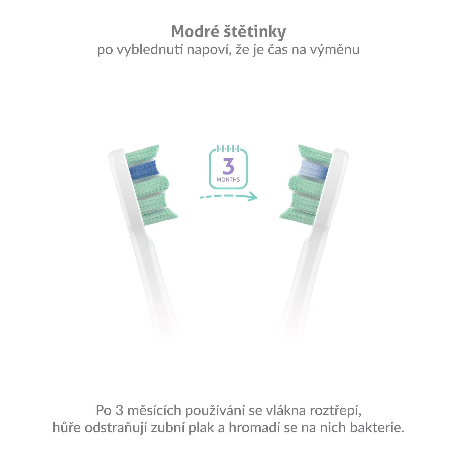 TrueLife SonicBrush Clean-series heads Standard white 8 pack2 