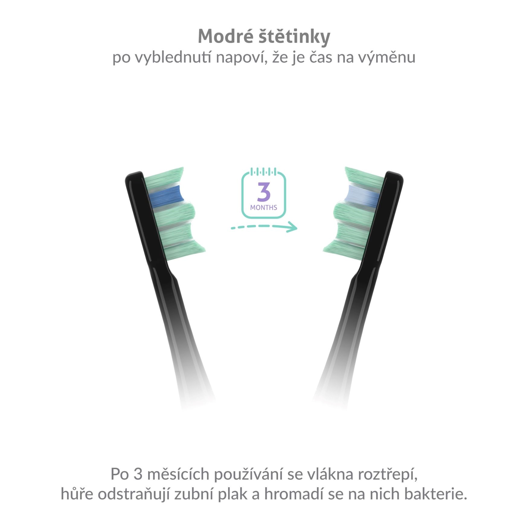 TrueLife SonicBrush Clean-series heads Standard black 8 pack2 