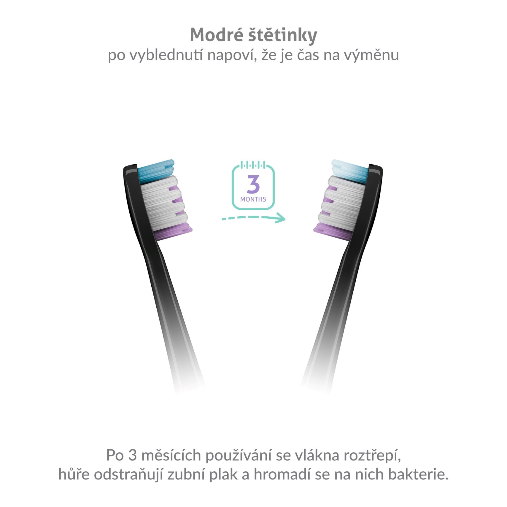 TrueLife SonicBrush Clean-series heads Sensitive black 2 pack2 