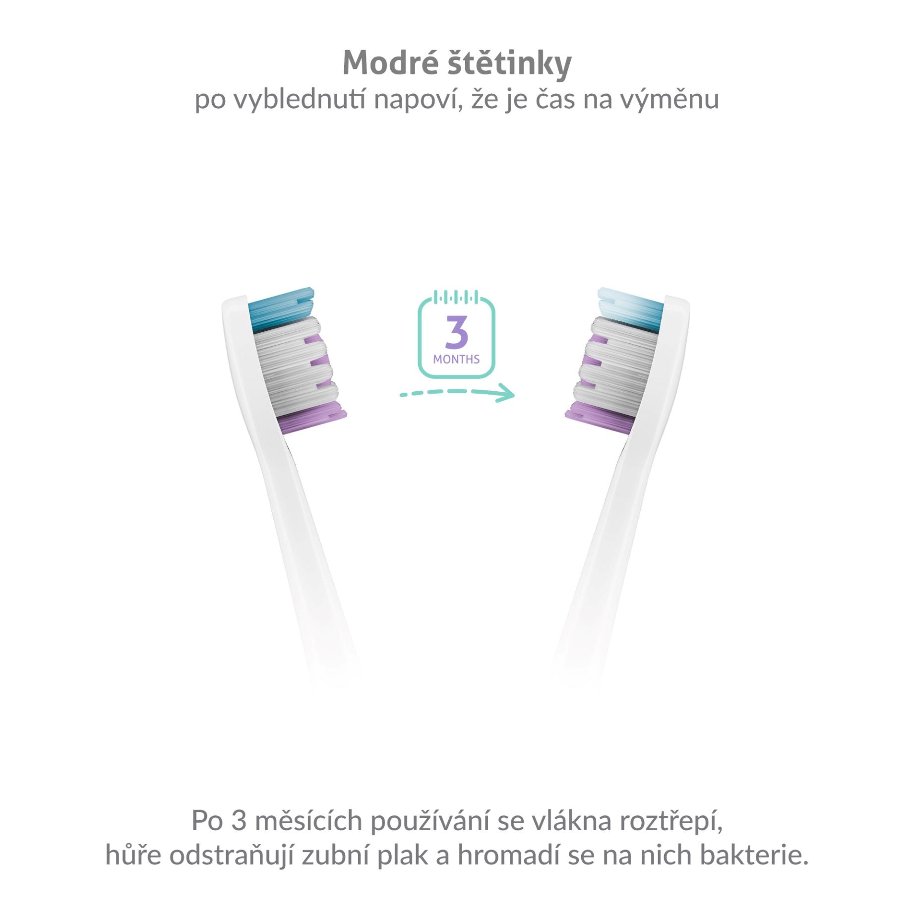 TrueLife SonicBrush Clean-series heads Sensitive white 8 pack2 