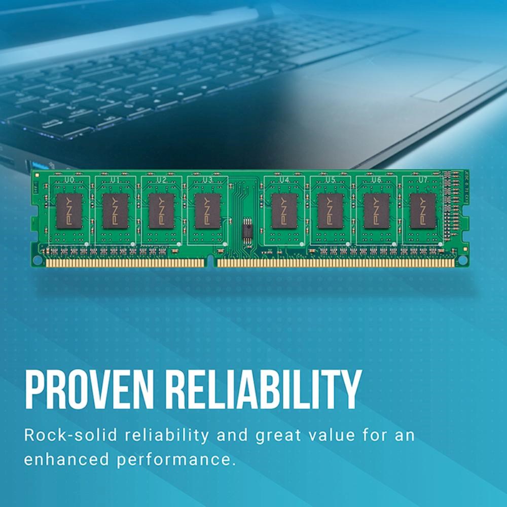 PNY DIMM DDR3 8GB 1600MHz CL116 