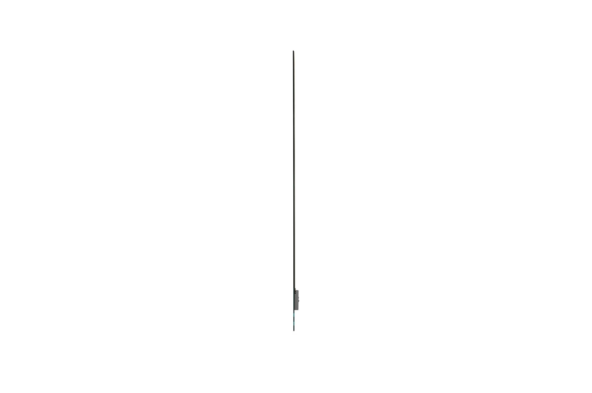 LG 55