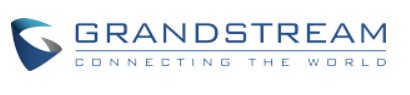 Grandstream RFID 125kHz Card - bundle 100 ks0 