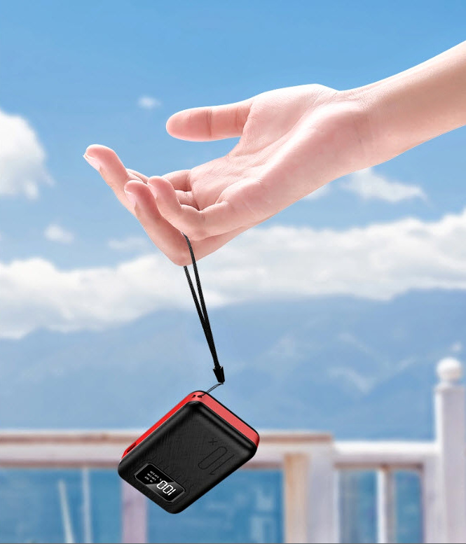 VIKING go10 10000mAh1 