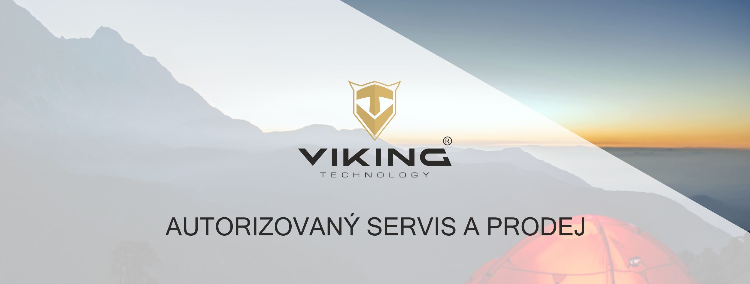 VIKING go10 10000mAh6 