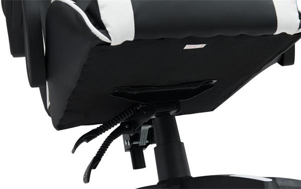 Canyon SGCH2, Core, ergonomické herné kreslo, čierno-biele 