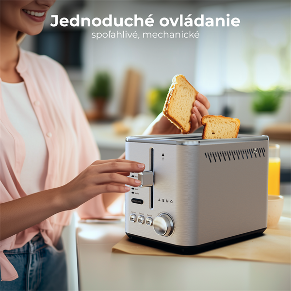 AENO 2-plátkový hriankovač TS3 , nerezová oceľ, EU 