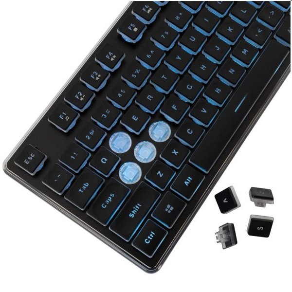 White Shark Gaming membrane keyboard TACHI, US, black 